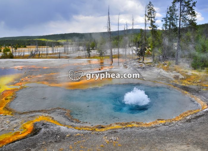 Source hydrothermale - Black Sand basin (Yellowstone NP, USA) - gryphea.org